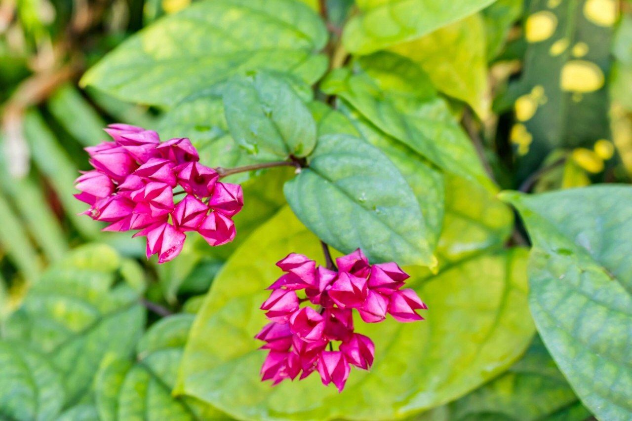 3615 Eagle Avenue, Key West, FL 33040 Photo