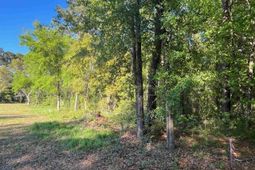 135 Ben Horry Trail photo 4