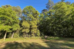 135 Ben Horry Trail photo 4