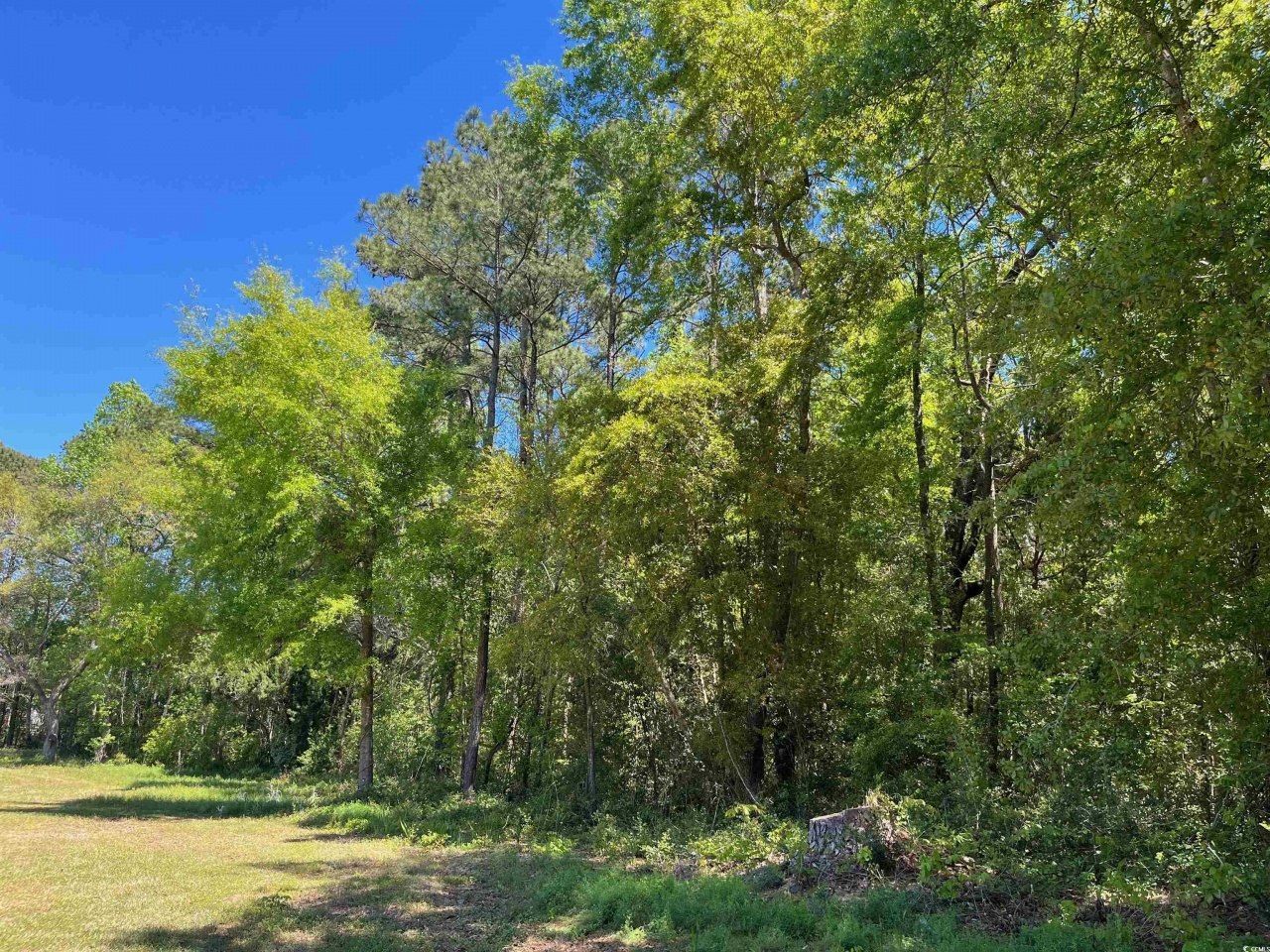 135 Ben Horry Trail Photo 4