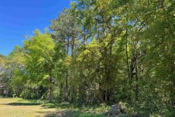 135 Ben Horry Trail photo 4