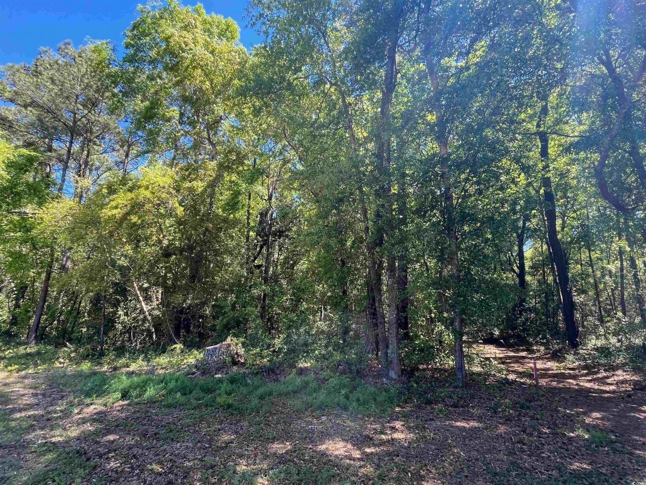 135 Ben Horry Trail Photo 5