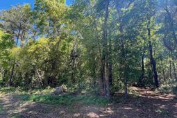 135 Ben Horry Trail photo 4