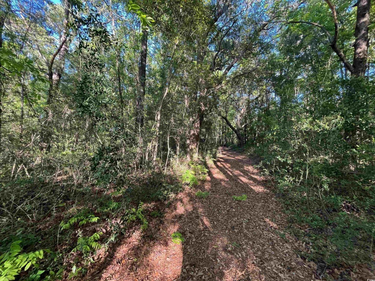 135 Ben Horry Trail Photo 6