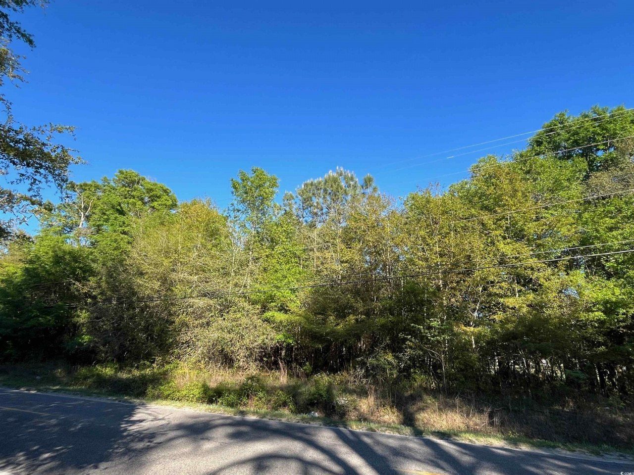 2564 Petigru Dr. Photo 4