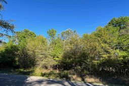 2564 Petigru Dr. photo 4