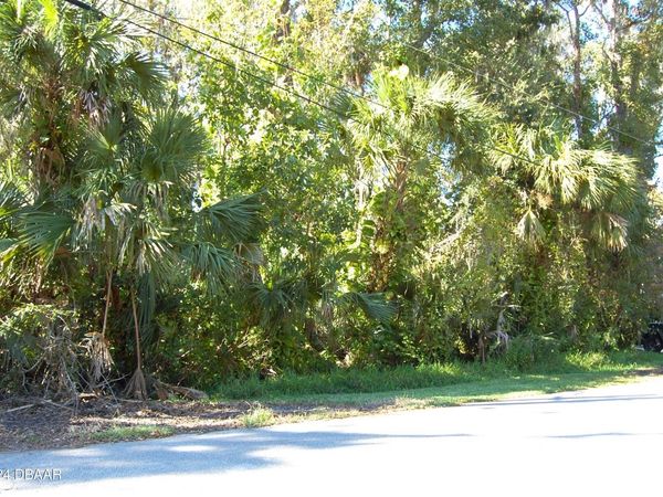 332 Patricia Drive, New Smyrna Beach, FL 32168