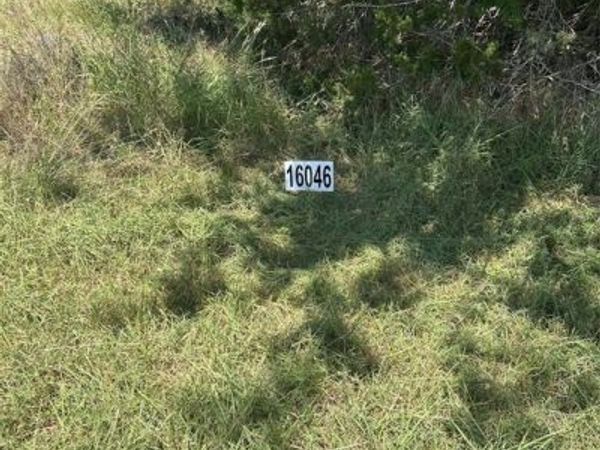 16046 Faircrest Drive, Whitney, TX 76692