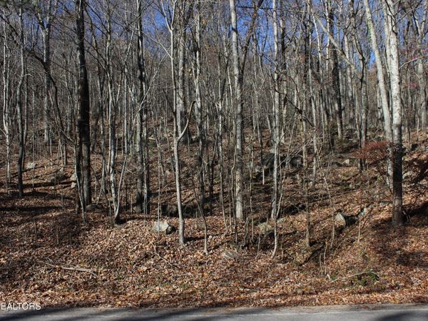 Scenic Dr, Lot 20, Harriman, TN 37748