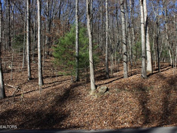 Scenic Dr, Lot 21, Harriman, TN 37748