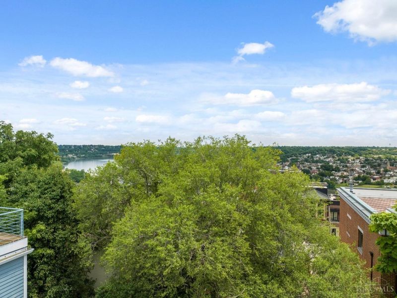 1112 Fuller Street, Cincinnati, OH 45202 Photo 19