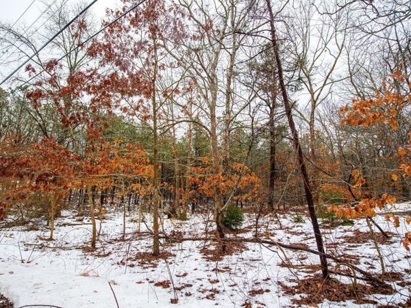 Elizabeth Way, Ridge, NY 11961