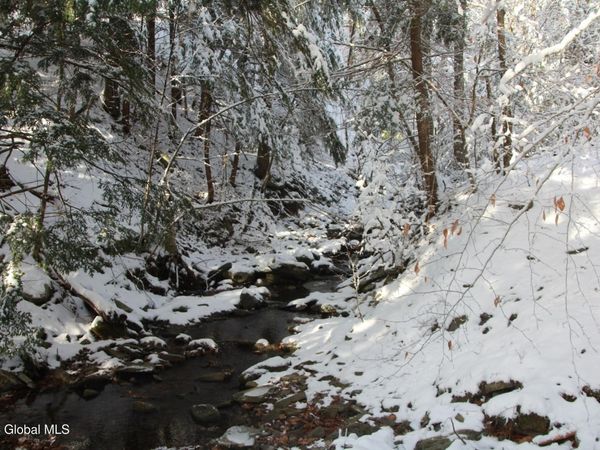 L11 Bassler Road, Middleburgh, NY 12122