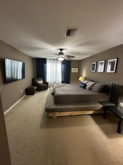 1449 Kaffir Lily Court, Trinity, FL 34655 Photo