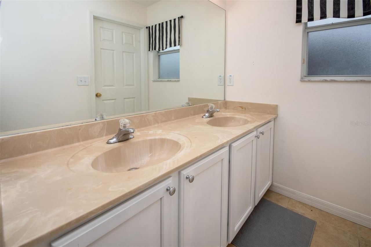 1449 Kaffir Lily Court, Trinity, FL 34655 Photo