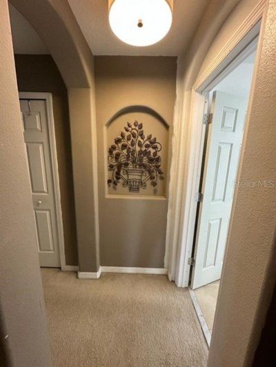 1449 Kaffir Lily Court, Trinity, FL 34655 Photo