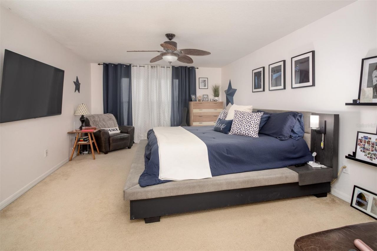 1449 Kaffir Lily Court, Trinity, FL 34655 Photo