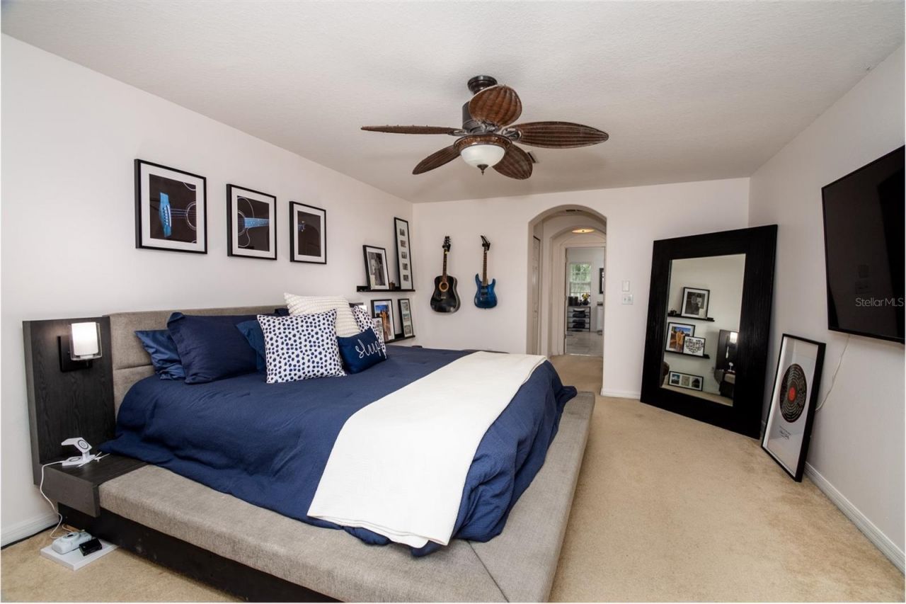 1449 Kaffir Lily Court, Trinity, FL 34655 Photo