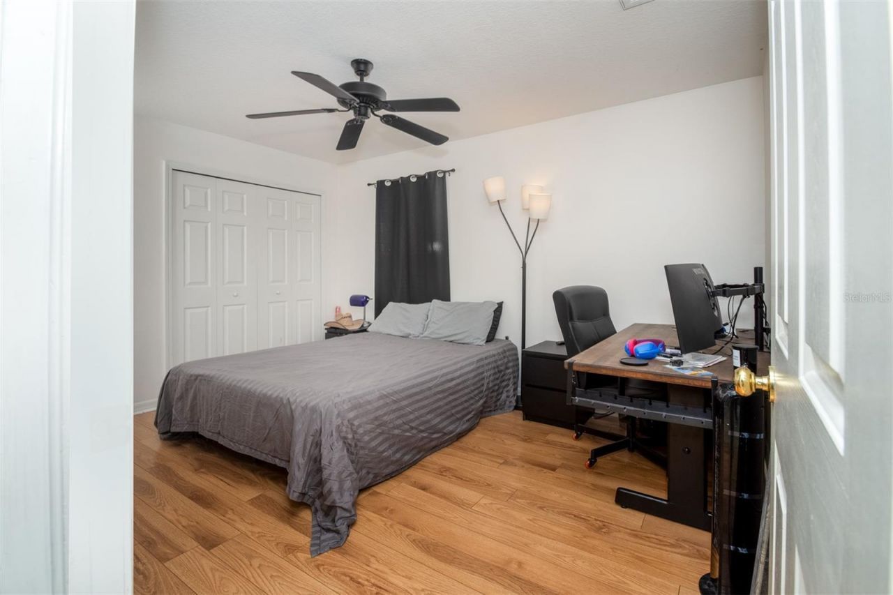 1449 Kaffir Lily Court, Trinity, FL 34655 Photo