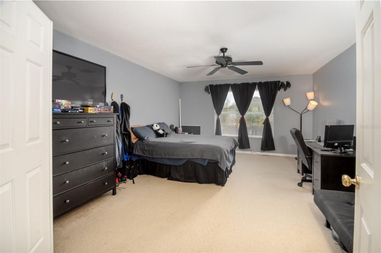 1449 Kaffir Lily Court, Trinity, FL 34655 Photo