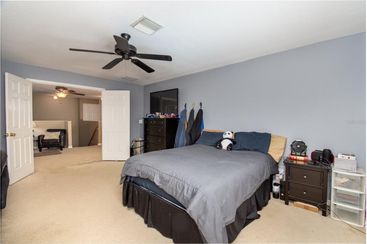 1449 Kaffir Lily Court, Trinity, FL 34655 Photo