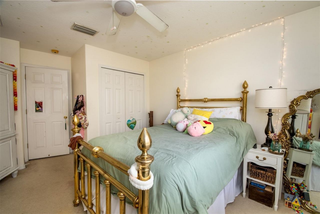 1449 Kaffir Lily Court, Trinity, FL 34655 Photo