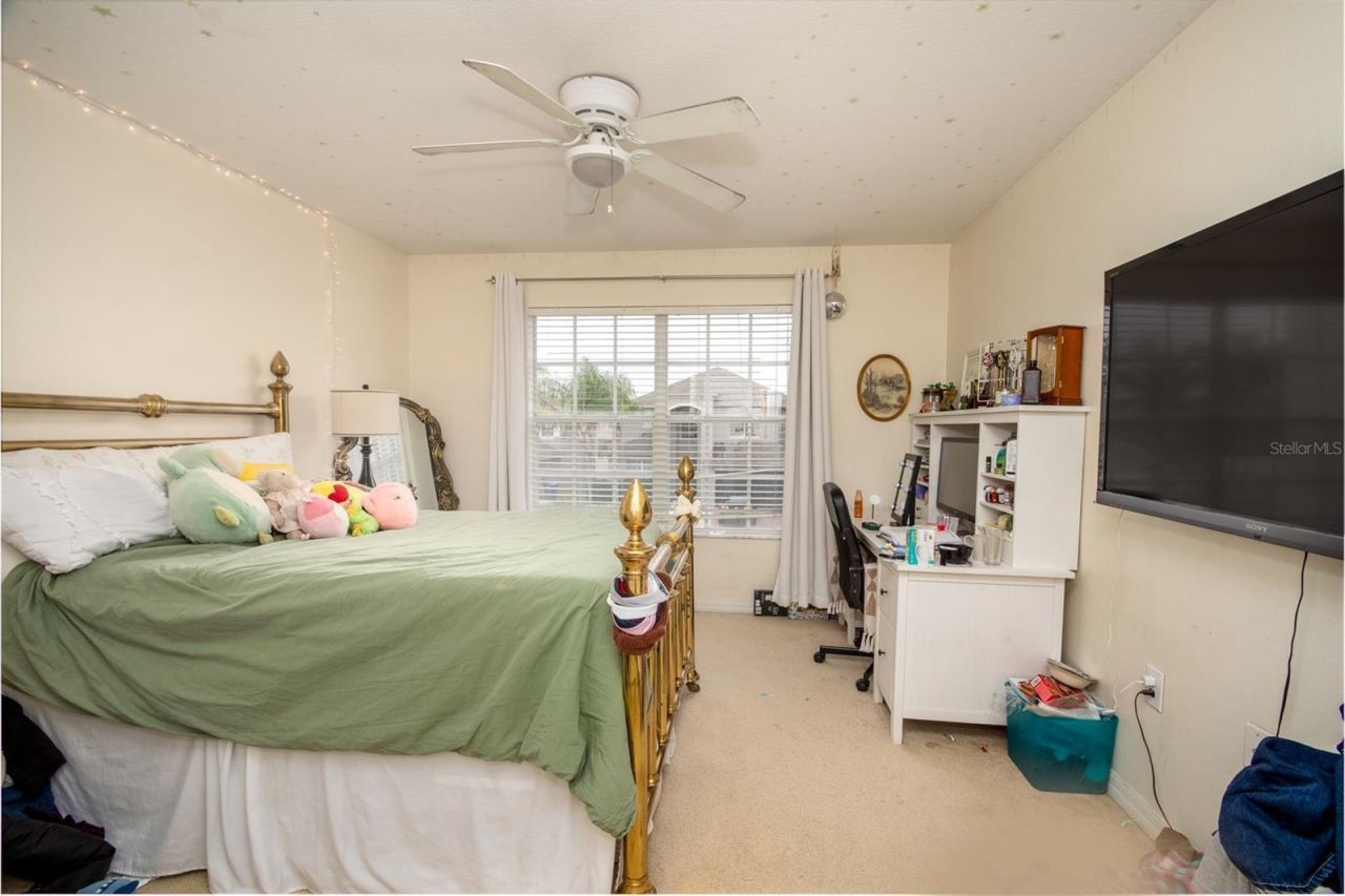 1449 Kaffir Lily Court, Trinity, FL 34655 Photo