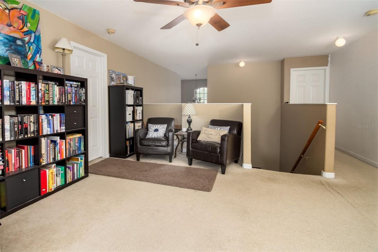 1449 Kaffir Lily Court, Trinity, FL 34655 Photo