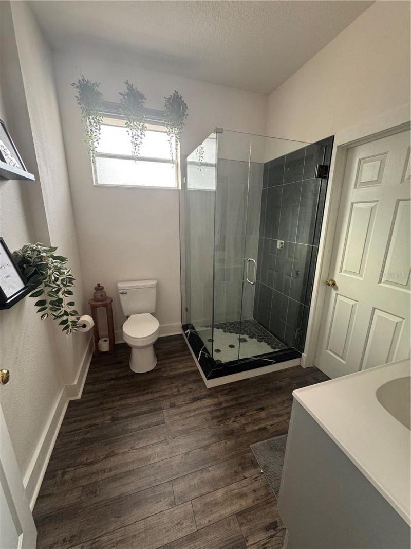 1449 Kaffir Lily Court, Trinity, FL 34655 Photo