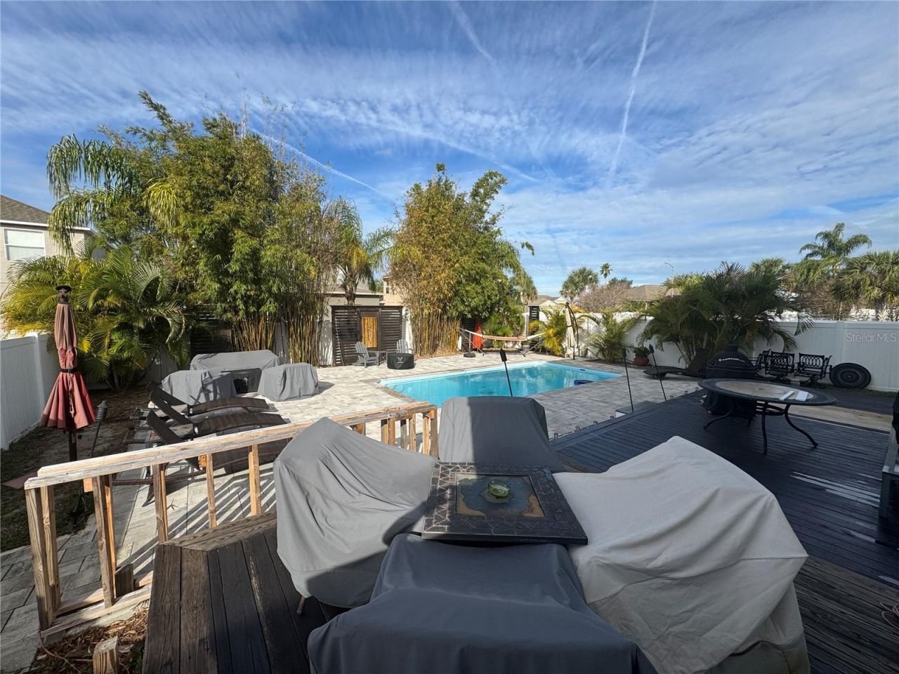 1449 Kaffir Lily Court, Trinity, FL 34655 Photo