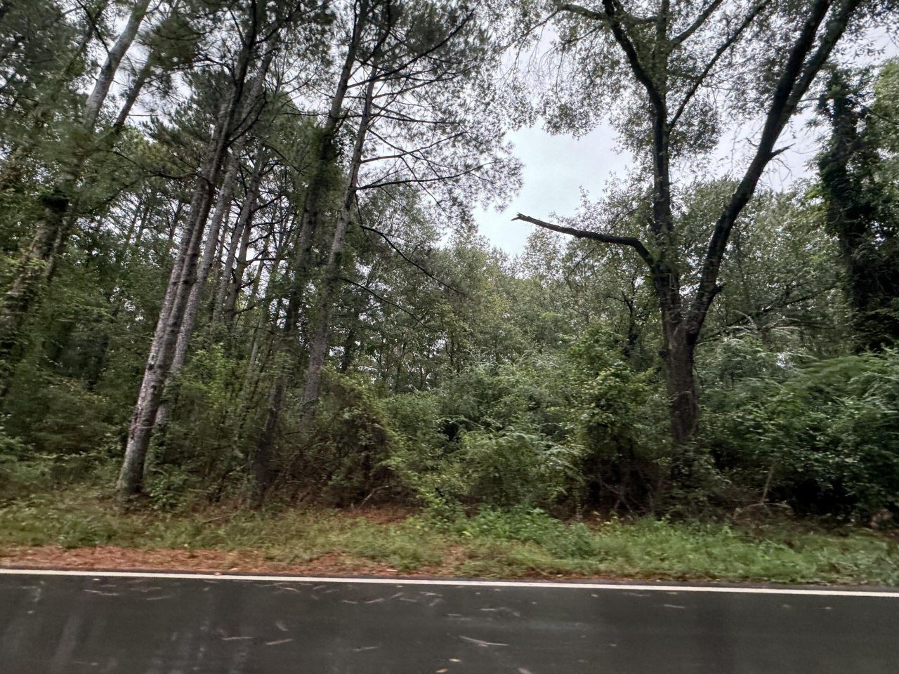 0 Camp 8 Rd., Richton, MS 39476 Main Photo