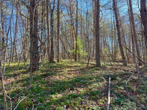 20.78 ac B. Armstrong Lane, Monterey, TN 38574