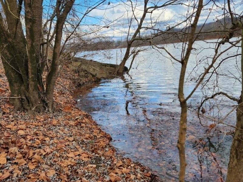863 County Road 9, Proctorville, OH 45669 Photo 6