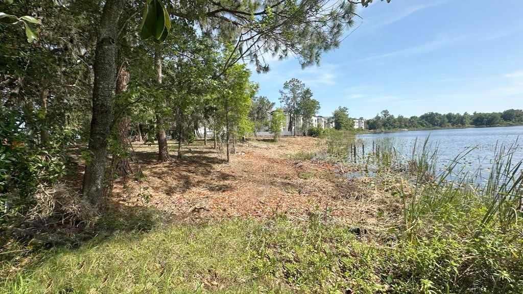 233 Ronald Reagan Parkway, Davenport, FL 33896 Photo