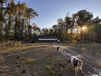 00 Sullivans Ferry Road, Cottageville, SC 29435