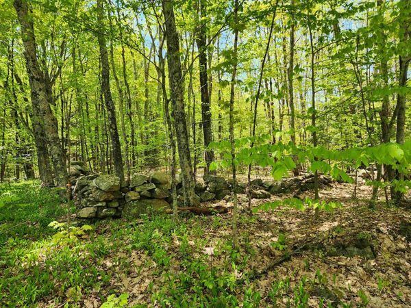 000 South Village Road, Unit R13-13, Westmoreland, NH 03467