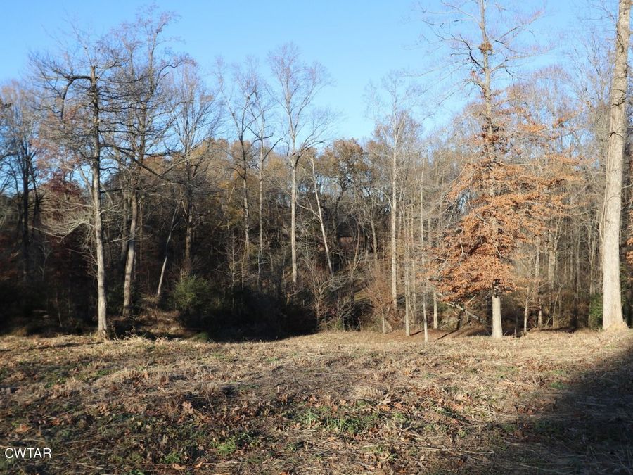 Property Image 18