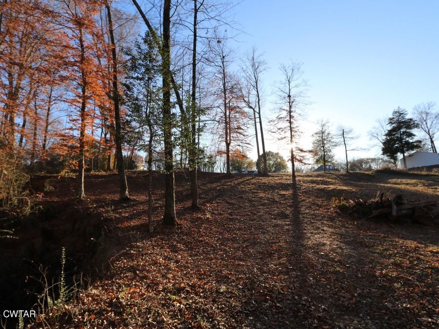 Property Image 21
