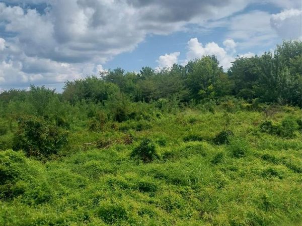 1085 Deen Point Road, Benton, LA 71006