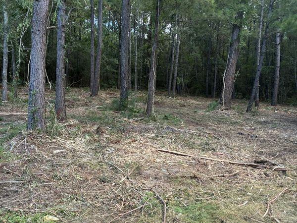 Henderson Avenue, Pass Christian, MS 39571