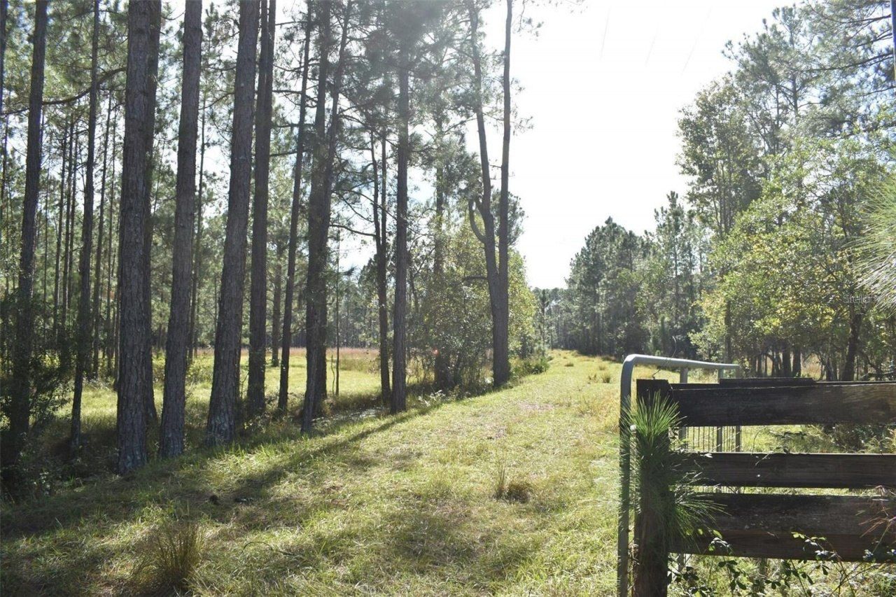 Berry Groves Rd Drive, Clermont, FL 34714 Photo