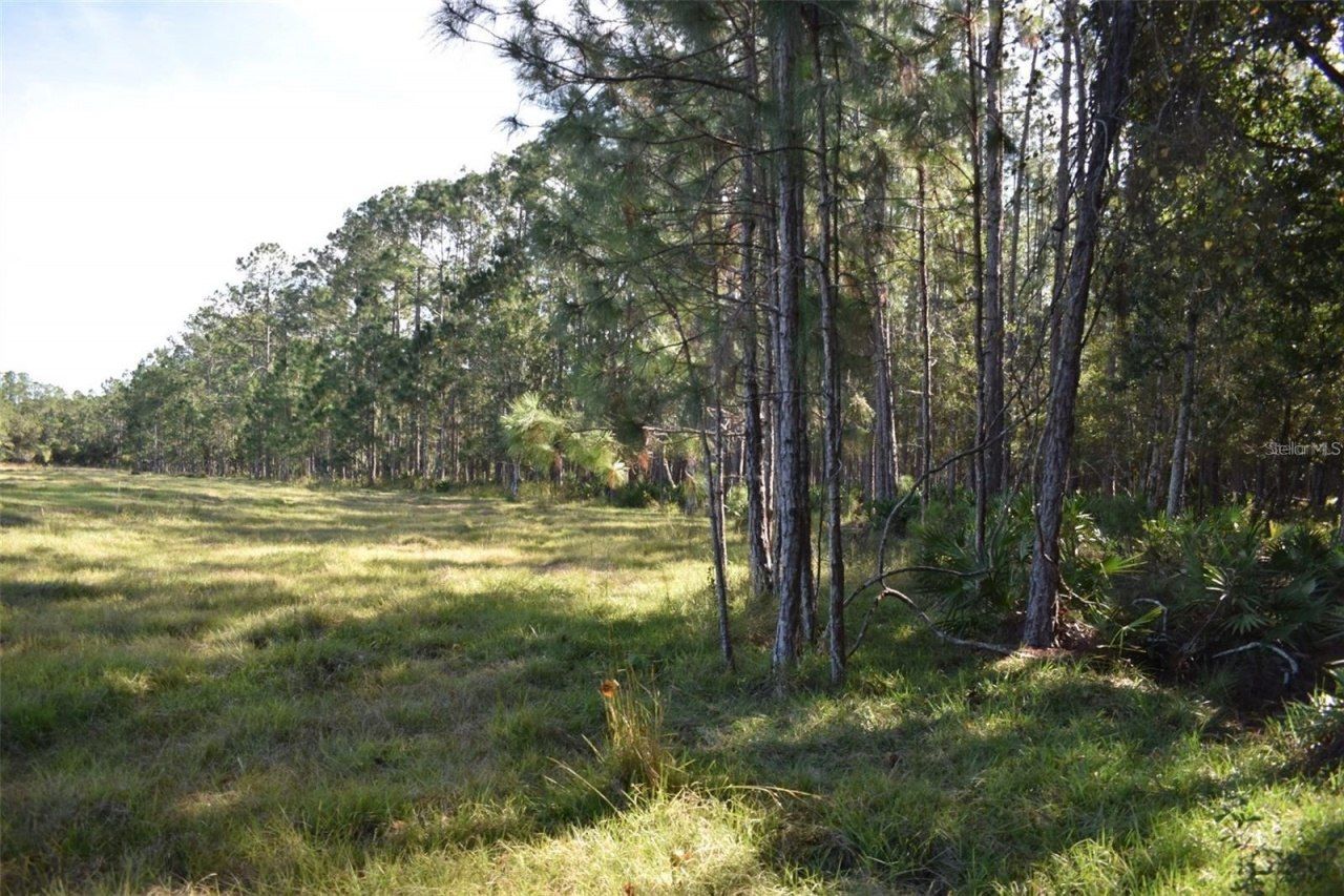 Berry Groves Rd Drive, Clermont, FL 34714 Photo