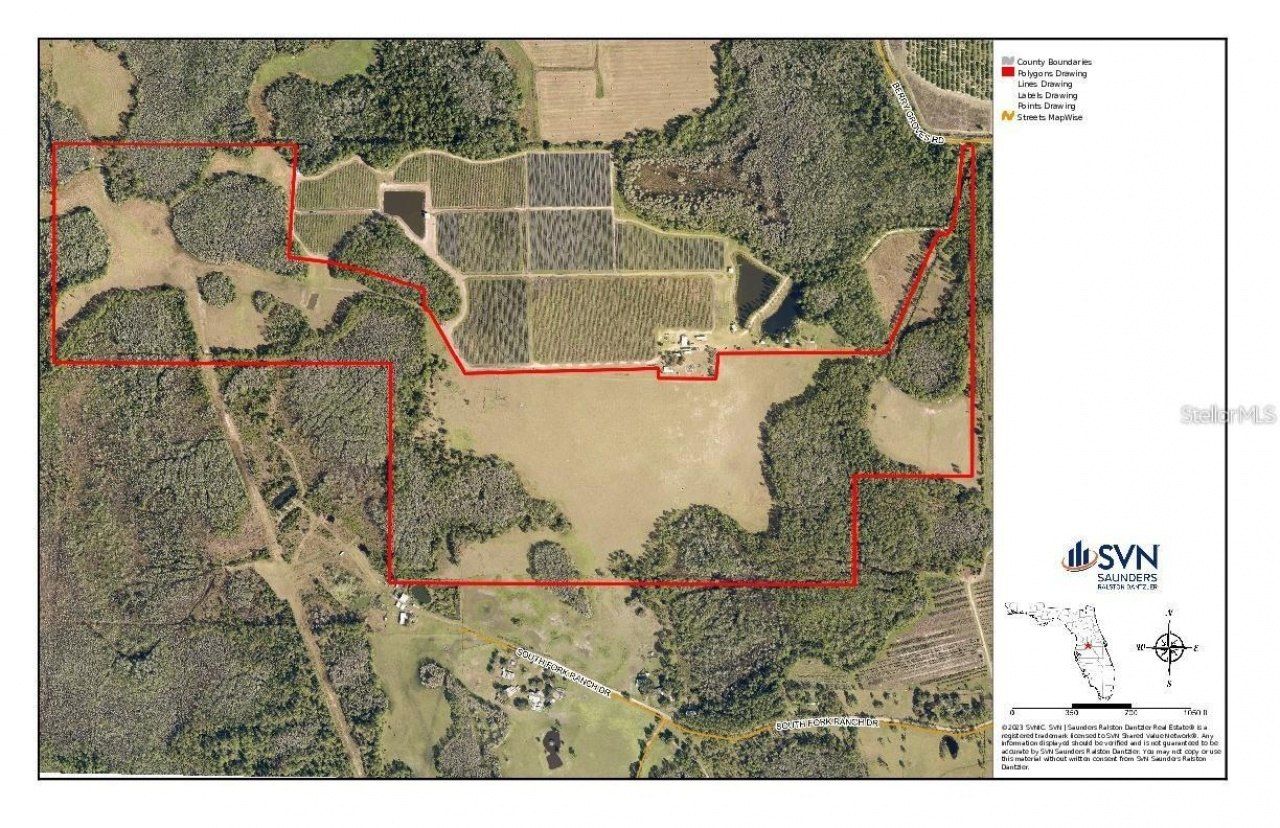 Berry Groves Rd Drive, Clermont, FL 34714 Photo