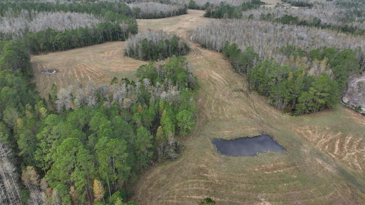 Berry Groves Rd Drive, Clermont, FL 34714 Photo