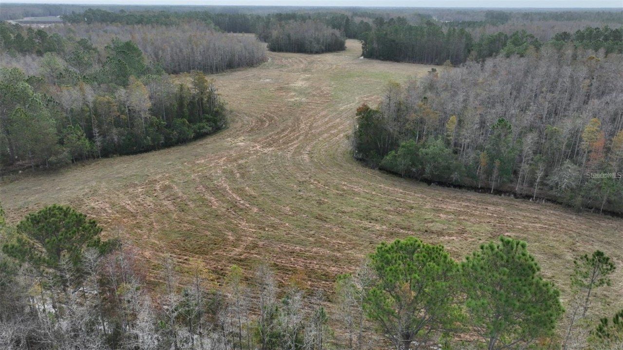 Berry Groves Rd Drive, Clermont, FL 34714 Photo