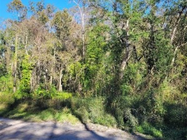 MORENA STREET, Unit 5, NEW PORT RICHEY, FL 34654