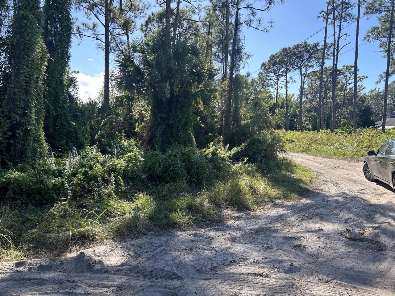0 Slash Pine Trail, Fort Pierce, FL 34945 Photo