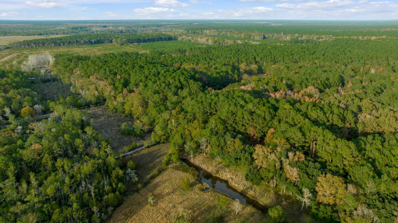 1225 Guerins Bridge Road Photo 13