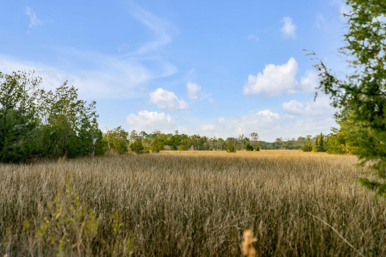 1225 Guerins Bridge Road Photo 23