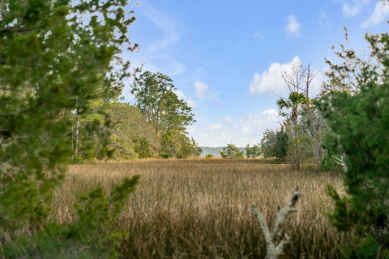 1225 Guerins Bridge Road Photo 24